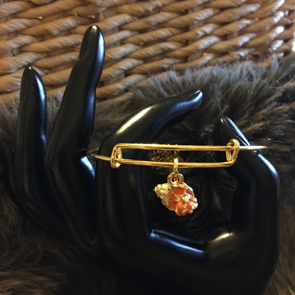 Alex and Ani copper infused energy bracelet